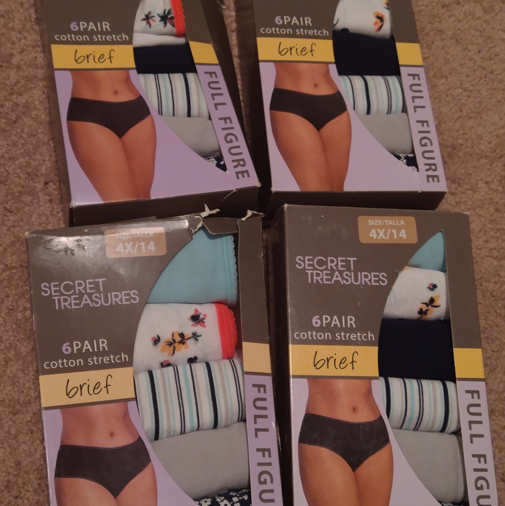 Secret Treasures Ladies Briefs size 4X/14